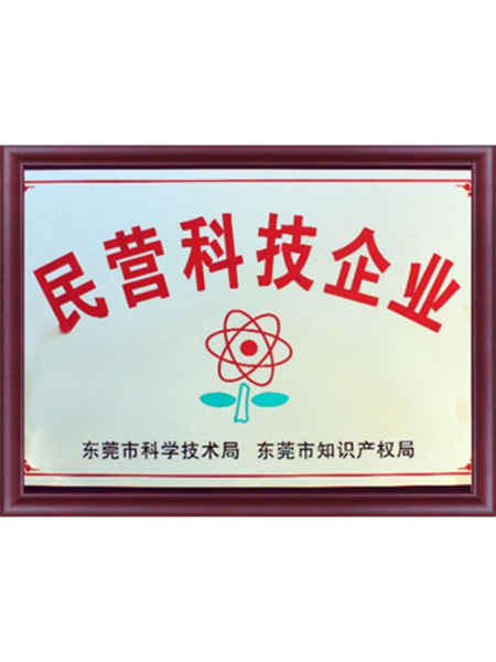 民营科技企业